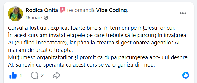 Recenzia unui participant la Intensivul Agenți AI