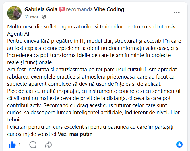 Recenzia unui participant la Intensivul Agenți AI